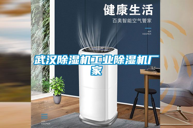 武汉除湿机星空娱乐彩票是什么网站厂家