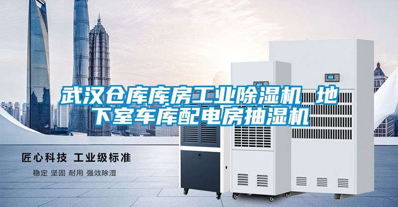 武汉仓库库房星空娱乐彩票是什么网站 地下室车库配电房抽湿机