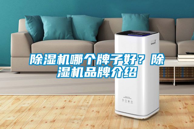 除湿机哪个牌子好？除湿机品牌介绍