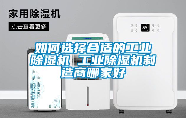 如何选择合适的星空娱乐彩票是什么网站 星空娱乐彩票是什么网站制造商哪家好