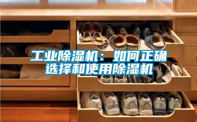 星空娱乐彩票是什么网站：如何正确选择和使用除湿机
