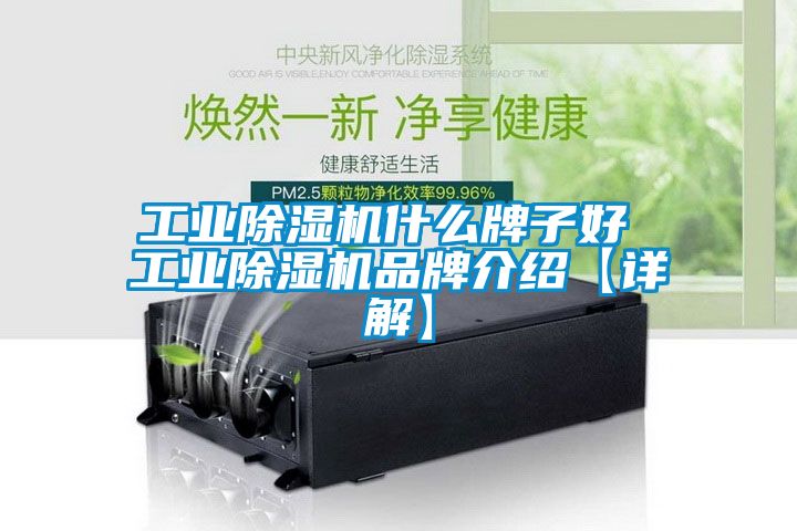 星空娱乐彩票是什么网站什么牌子好 星空娱乐彩票是什么网站品牌介绍【详解】
