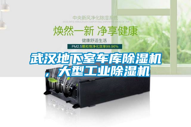 武汉地下室车库除湿机，大型星空娱乐彩票是什么网站
