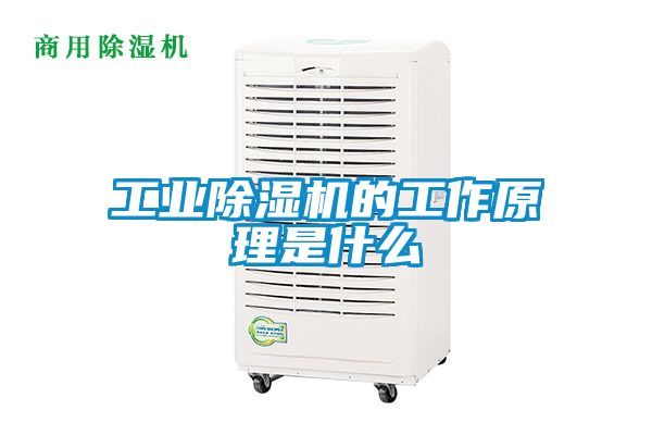 星空娱乐彩票是什么网站的工作原理是什么