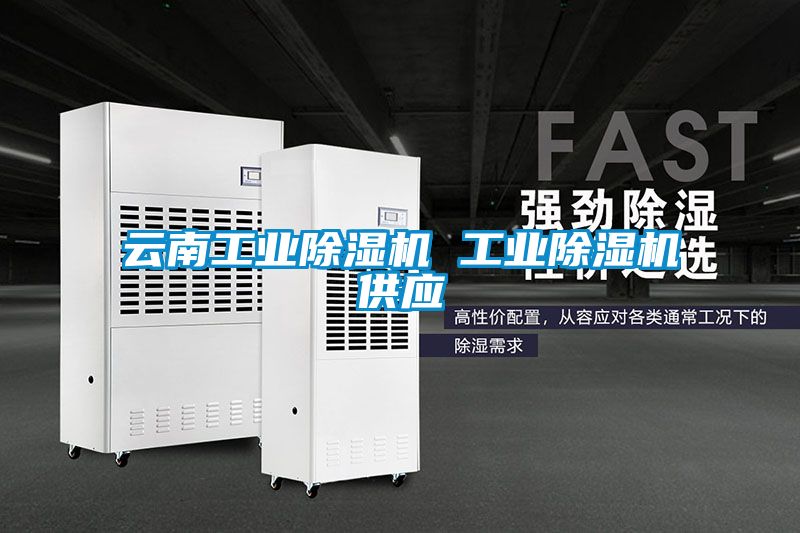 云南星空娱乐彩票是什么网站 星空娱乐彩票是什么网站供应