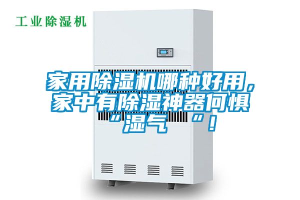 星空体育app官网哪种好用，家中有除湿神器何惧 “湿气 “！