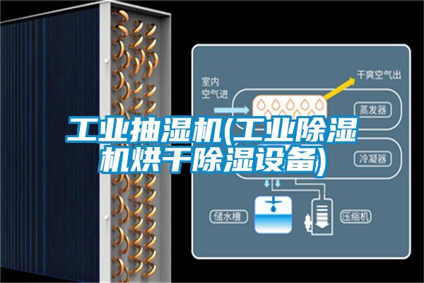 工业抽湿机(星空娱乐彩票是什么网站烘干除湿设备)