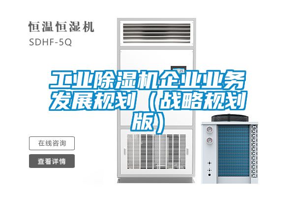 星空娱乐彩票是什么网站企业业务发展规划（战略规划版）