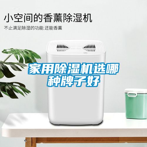 星空体育app官网选哪种牌子好