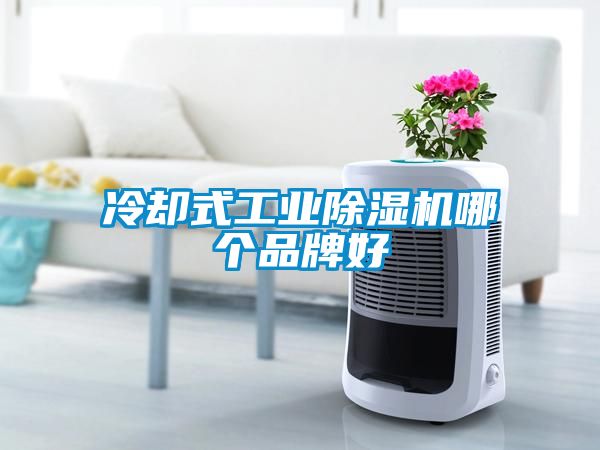 冷却式星空娱乐彩票是什么网站哪个品牌好