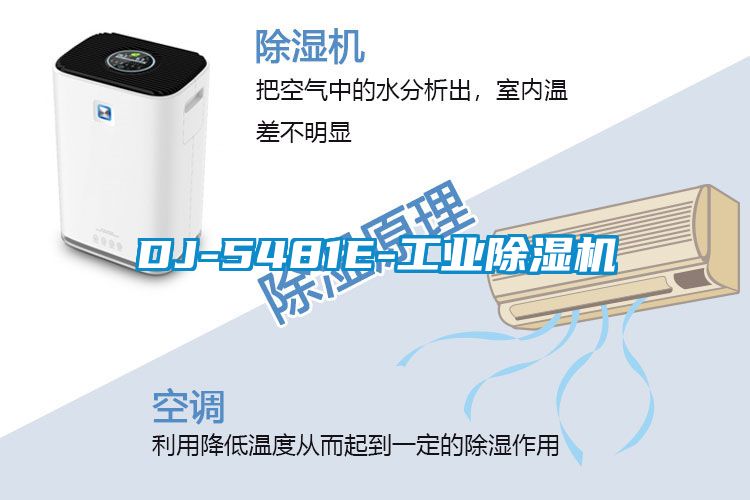DJ-5481E-星空娱乐彩票是什么网站