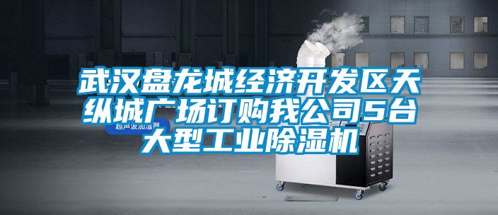 武汉盘龙城经济开发区天纵城广场订购我公司5台大型星空娱乐彩票是什么网站