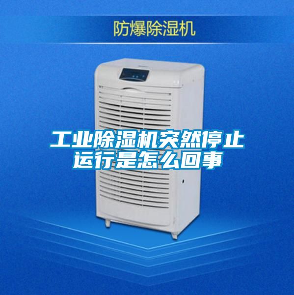 星空娱乐彩票是什么网站突然停止运行是怎么回事
