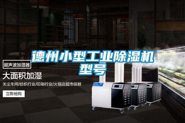 德州小型星空娱乐彩票是什么网站型号