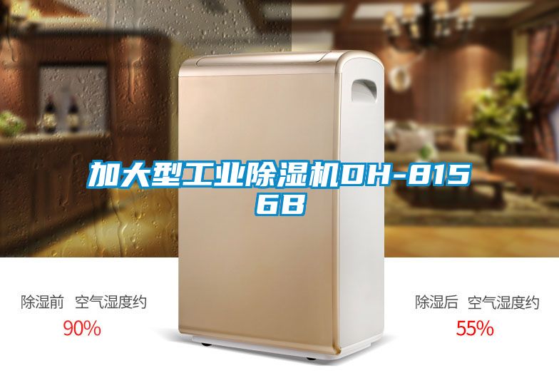加大型星空娱乐彩票是什么网站DH-8156B
