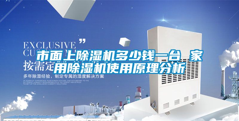 市面上除湿机多少钱一台 星空体育app官网使用原理分析