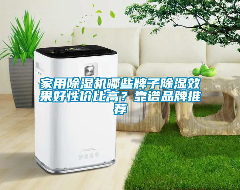 星空体育app官网哪些牌子除湿效果好性价比高？靠谱品牌推荐