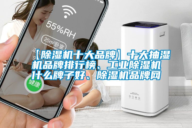 【除湿机十大品牌】十大抽湿机品牌排行榜、星空娱乐彩票是什么网站什么牌子好、除湿机品牌网