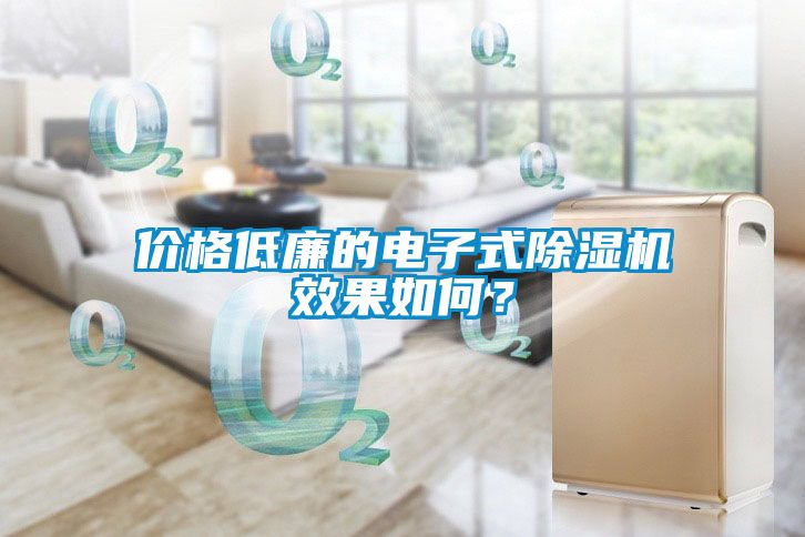价格低廉的电子式除湿机效果如何？