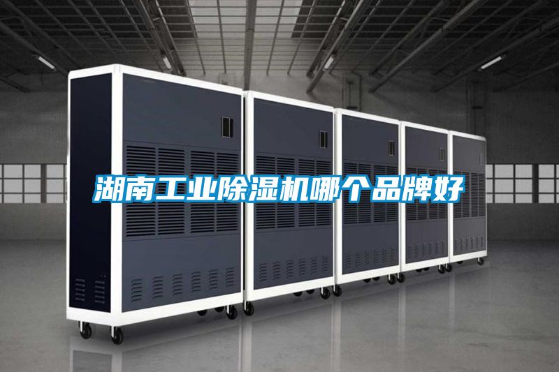 湖南星空娱乐彩票是什么网站哪个品牌好