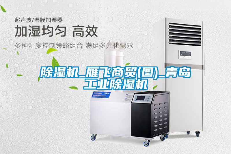 除湿机_雁飞商贸(图)_青岛星空娱乐彩票是什么网站