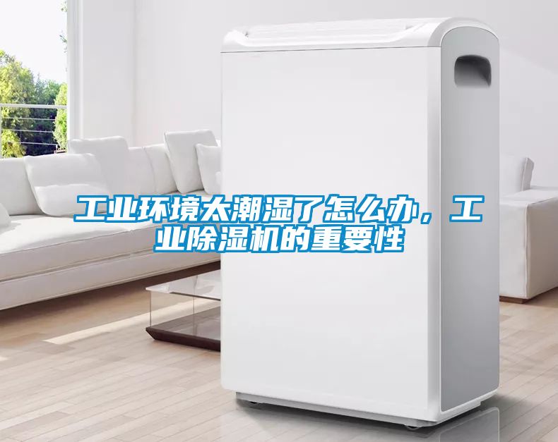 工业环境太潮湿了怎么办，星空娱乐彩票是什么网站的重要性