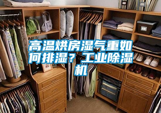 高温烘房湿气重如何排湿？星空娱乐彩票是什么网站