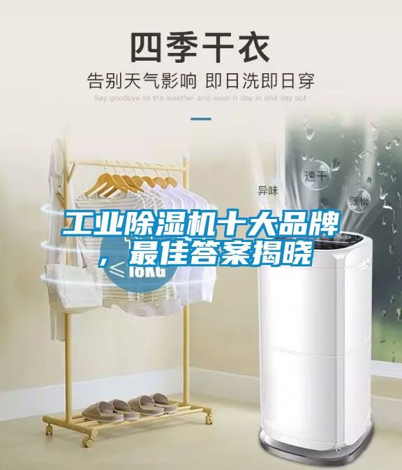 星空娱乐彩票是什么网站十大品牌，最佳答案揭晓