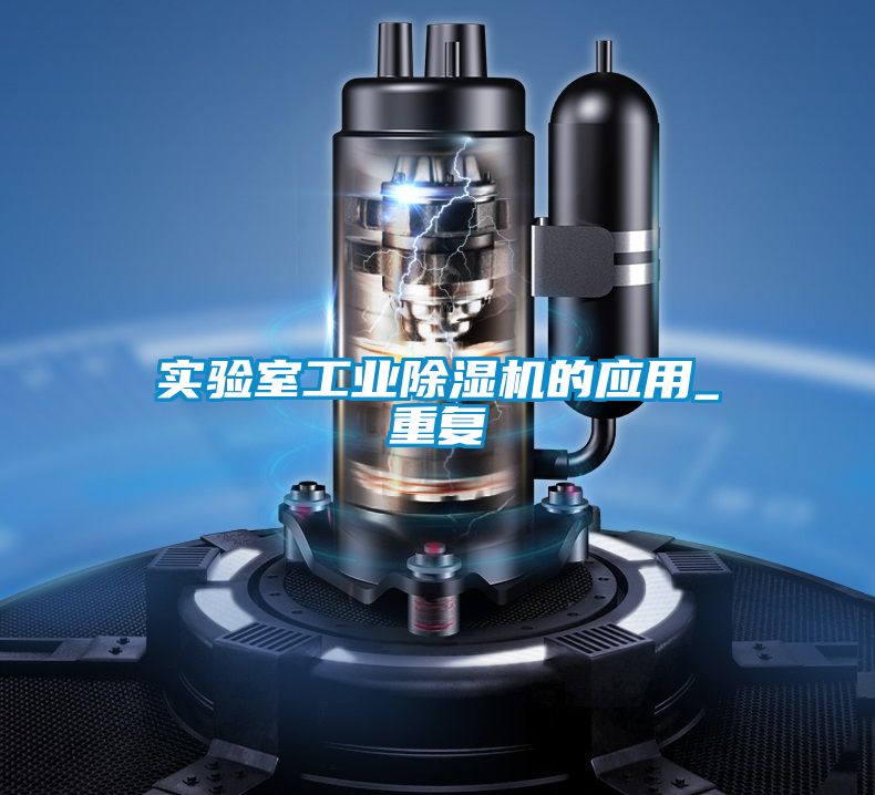 实验室星空娱乐彩票是什么网站的应用_重复