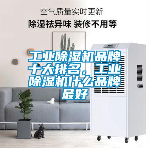 星空娱乐彩票是什么网站品牌十大排名，星空娱乐彩票是什么网站什么品牌最好