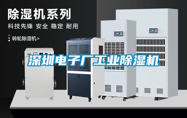 深圳电子厂星空娱乐彩票是什么网站