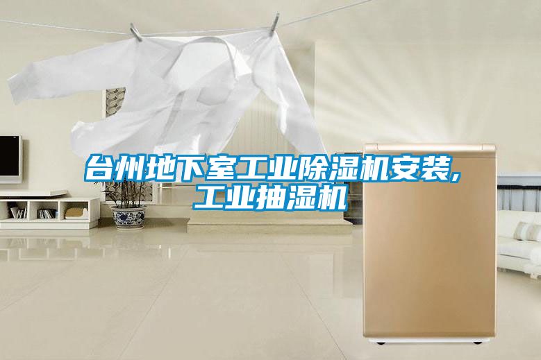 台州地下室星空娱乐彩票是什么网站安装,工业抽湿机