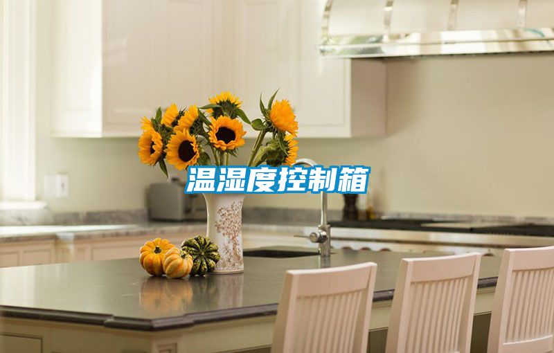 温湿度控制箱