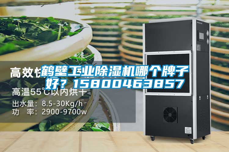 鹤壁星空娱乐彩票是什么网站哪个牌子好？15800463857