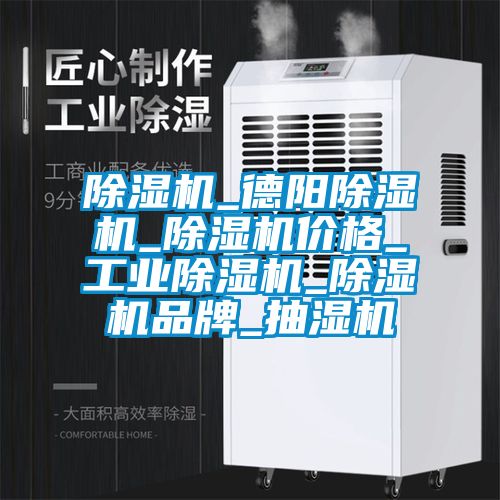 除湿机_德阳除湿机_除湿机价格_星空娱乐彩票是什么网站_除湿机品牌_抽湿机
