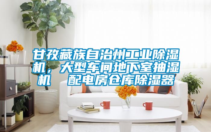 甘孜藏族自治州星空娱乐彩票是什么网站，大型车间地下室抽湿机  配电房仓库除湿器