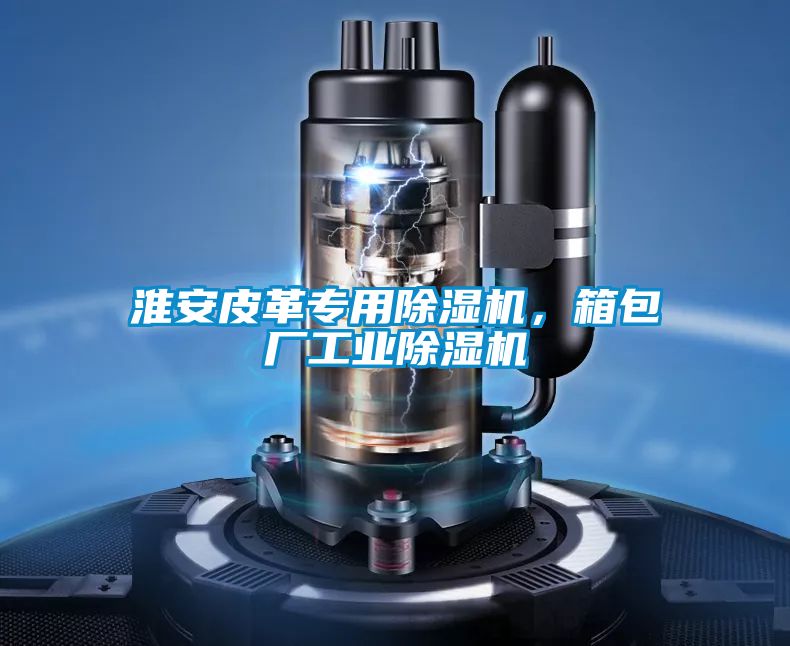 淮安皮革专用除湿机，箱包厂星空娱乐彩票是什么网站