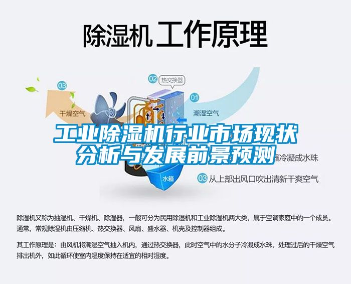 星空娱乐彩票是什么网站行业市场现状分析与发展前景预测