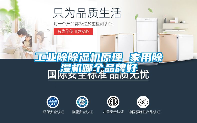 工业除除湿机原理 星空体育app官网哪个品牌好