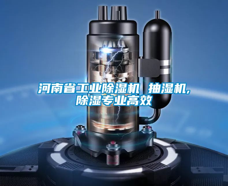 河南省星空娱乐彩票是什么网站 抽湿机,除湿专业高效