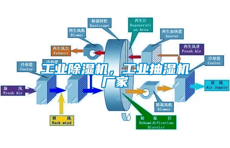 星空娱乐彩票是什么网站，工业抽湿机厂家