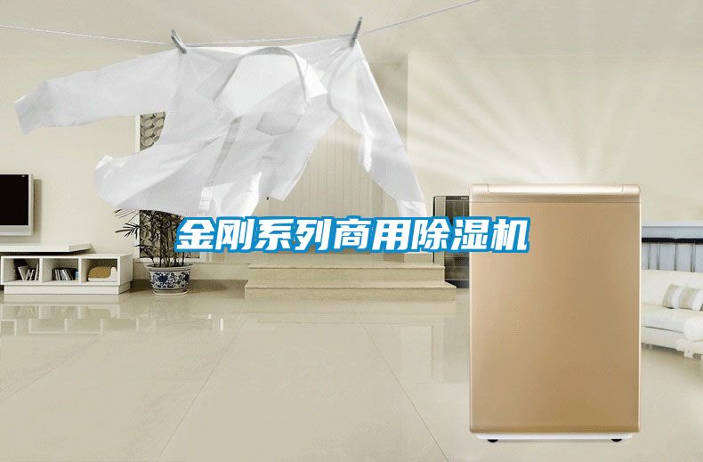金刚系列星空app官网下载手机版