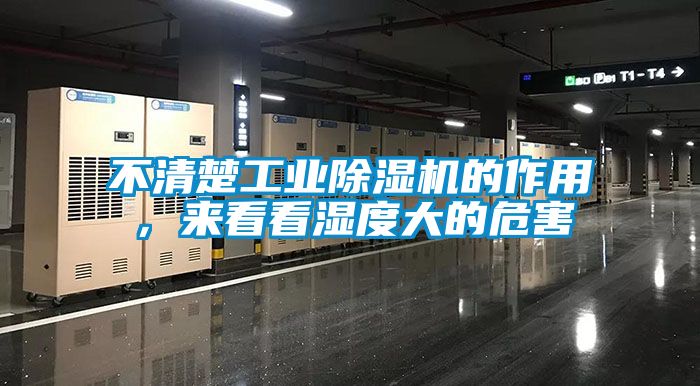 不清楚星空娱乐彩票是什么网站的作用，来看看湿度大的危害