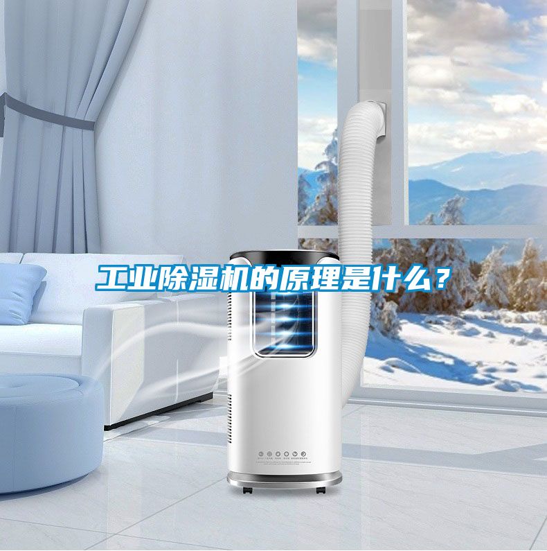 星空娱乐彩票是什么网站的原理是什么？