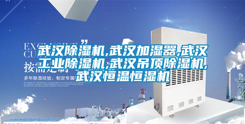 武汉除湿机,武汉加湿器,武汉星空娱乐彩票是什么网站,武汉吊顶除湿机,武汉恒温恒湿机