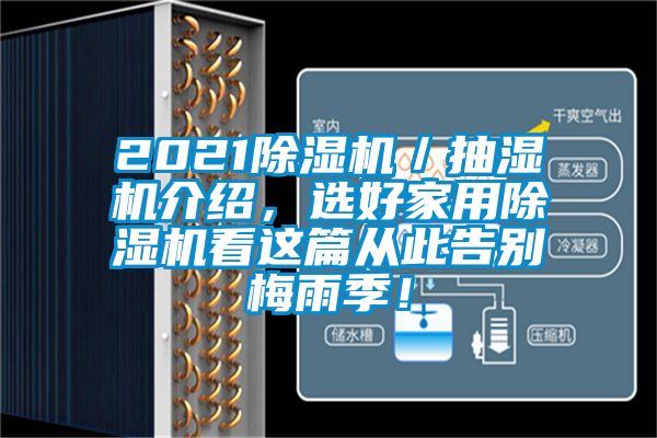 2021除湿机／抽湿机介绍，选好星空体育app官网看这篇从此告别梅雨季！