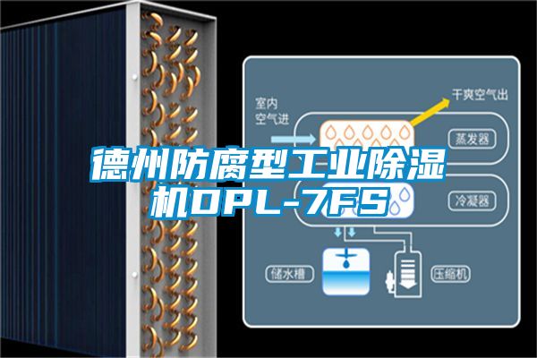 德州防腐型星空娱乐彩票是什么网站DPL-7FS