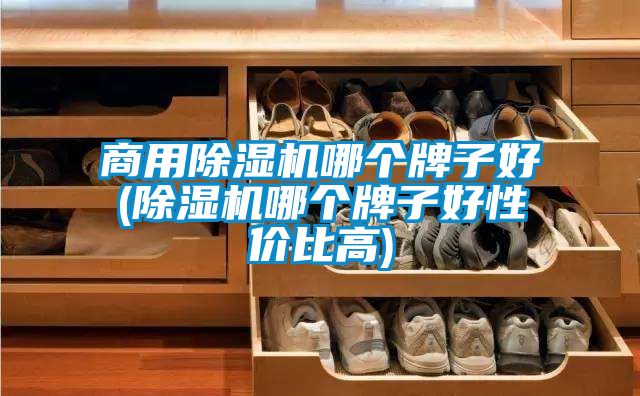 星空app官网下载手机版哪个牌子好(除湿机哪个牌子好性价比高)
