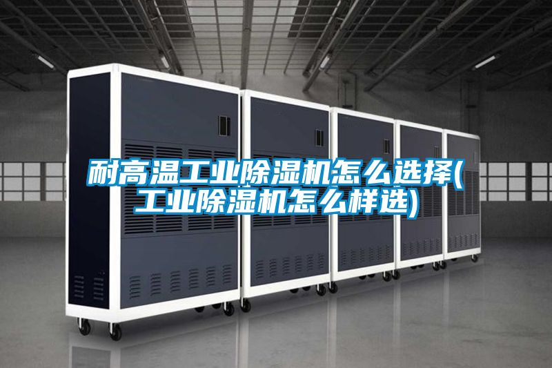 耐高温星空娱乐彩票是什么网站怎么选择(星空娱乐彩票是什么网站怎么样选)