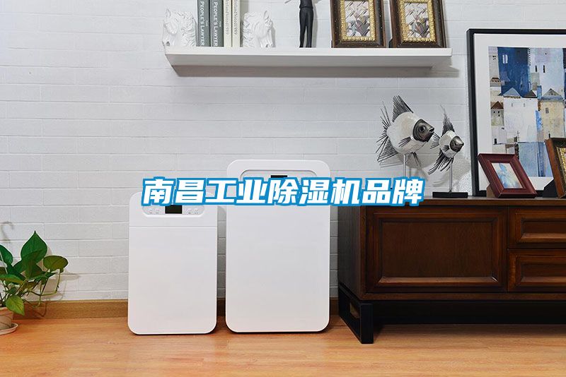 南昌星空娱乐彩票是什么网站品牌